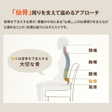 PROIDEA あったか腰サポ湯たんぽ ダークブラウン