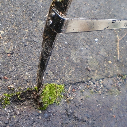 兼松 T型草取り鎌 日本製