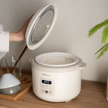 土鍋炊飯器「匠」 土鍋炊き風 炊飯器 1合～2.5号 一人暮らし 新生活応援 コンパクト炊飯器 マイコン式