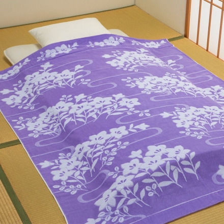 今治産 桔梗柄ワイドボリュームタオルケット 2色組 タオルケット 桔梗柄 和柄 厚手 オールシーズン 通年