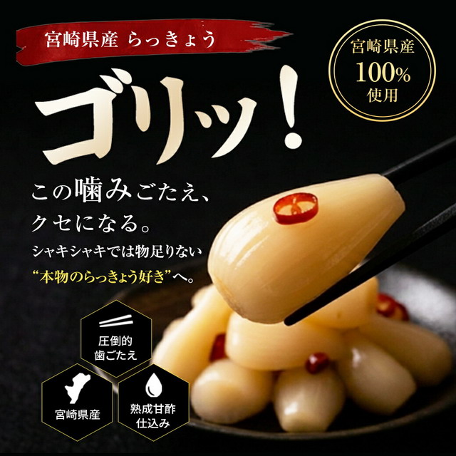 宮崎産 らっきょう ピリ辛 80g×3袋 国産 ご飯のお供 酒の肴