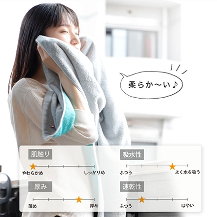 ハーフ バスタオル 4枚 セット 今治 タオル DAILY PRAIRIE リバーシブル C