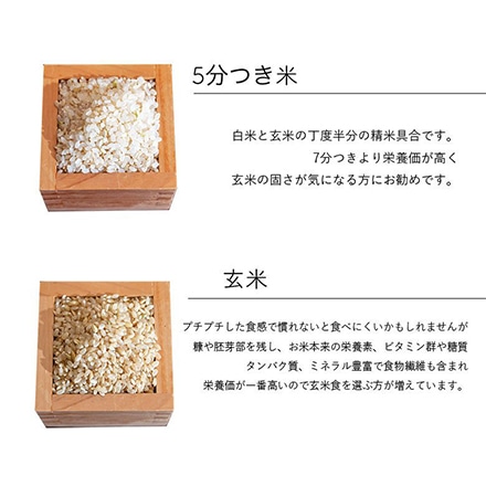 新米 三重県産 コシヒカリ 5kg 白米 令和6年産