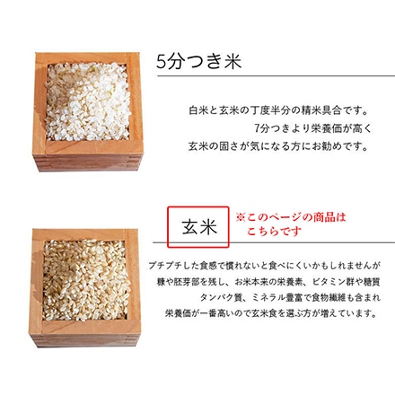 新米 三重県産 コシヒカリ 5kg 玄米 令和6年産