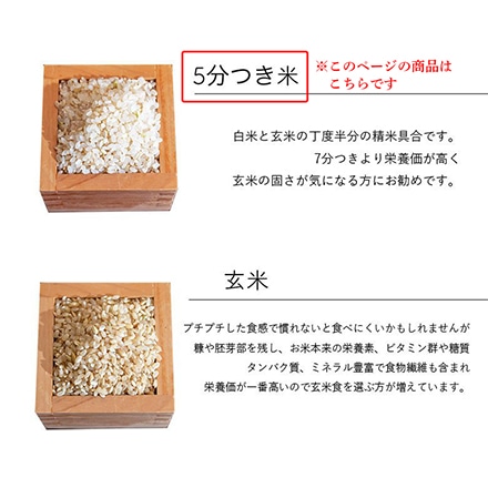 新米 三重県産 コシヒカリ 5kg 5分づき 令和6年産