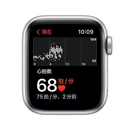 Apple Watch Nike SE（GPS モデル）- 40mmシルバーアルミニウムケースとピュアプラチナム/ブラックNikeスポーツバンド - レギュラー with AppleCare+