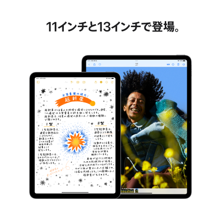 Apple iPad Air 13インチ Wi-Fiモデル 1TB - スペースグレイ with AppleCare+