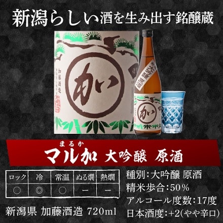 日本酒 大吟醸酒 飲み比べ セット 720ml×5本 RSL