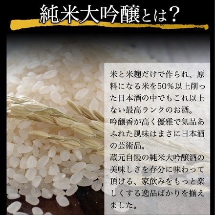 日本酒 純米大吟醸 飲み比べ セット 辛口 720ml×5本 全て全国新酒鑑評会“金賞”受賞蔵 長S