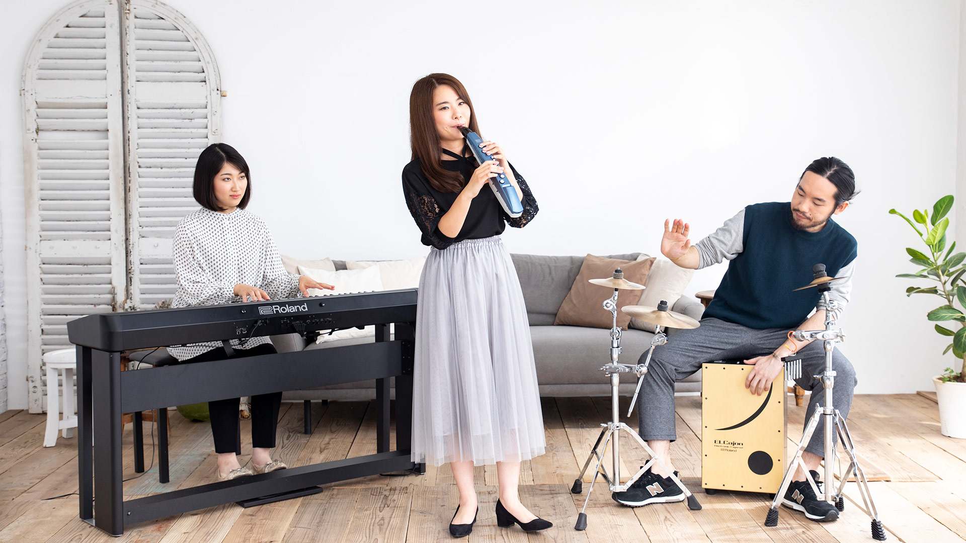 ローランド ウインドシンセサイザー エアロフォン ミニ AE-01 Roland Aerophone mini