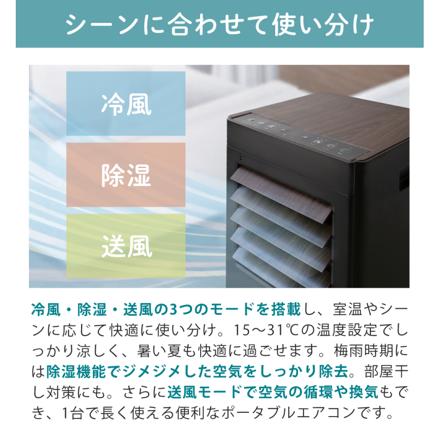 QUADS オートルーバー付ポータブルエアコン QS619BW ブラックウッド
