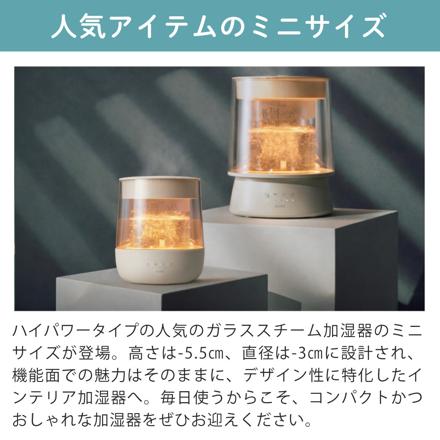 QUADS ガラススチーム加湿器 GLASS MINI QS629GY グレー