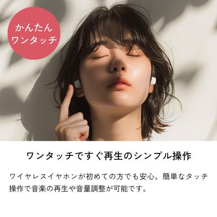 JVC Victor ビクター ワイヤレスイヤホン パープル HA-A6T-V
