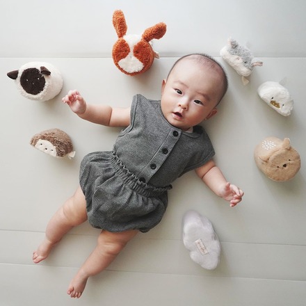 あまのっぽ もちふわブロック　ふわふわ プラス 森の新しいおともだち