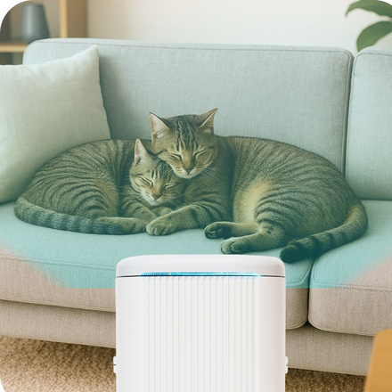 ブルーデオS にゃんこモデル 脱臭除菌機 10畳 MC-S311C