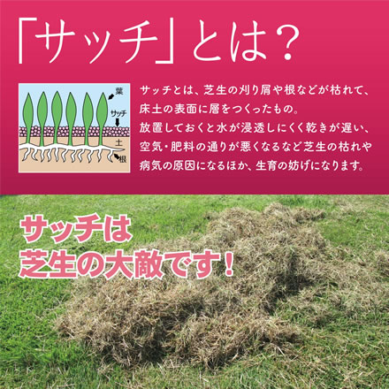 キンボシ レーキ 芝生のサッチ取り (小) 8本爪 (4010)
