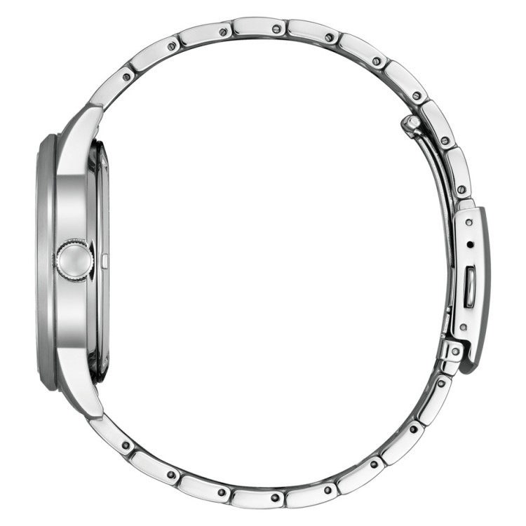 CITIZEN シチズンコレクション NY4050-71L 日本限定 金碧珠テーマ メカニカル 自動巻 手巻き付き サファイアガラス 5気圧防水 ステンレス メンズ 腕時計