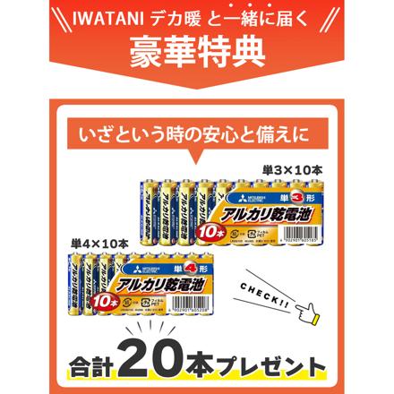 イワタニ カセットガスストーブ デカ暖3 CB-STV-DKD3 レッド 電池付きセット