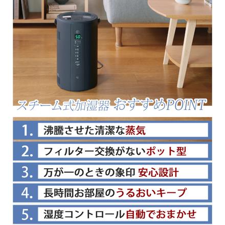 象印 スチーム式加湿器 4.0L EE-TC60 ソフトブラック お試し用ピカポット付き
