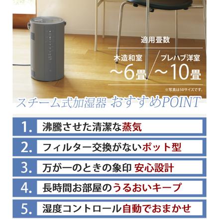 象印 スチーム式加湿器 3.0L EE-DG35 グレー お試し用ピカポット付き