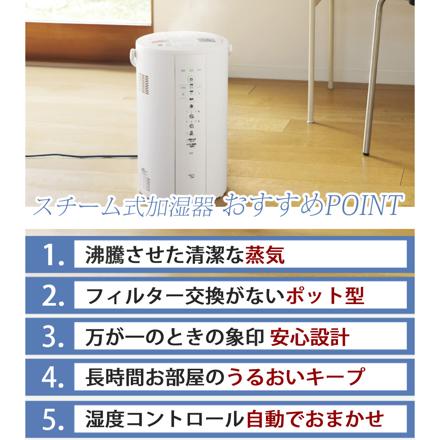 象印 スチーム式加湿器 4.0L EE-DG50 グレー お試し用ピカポット付き