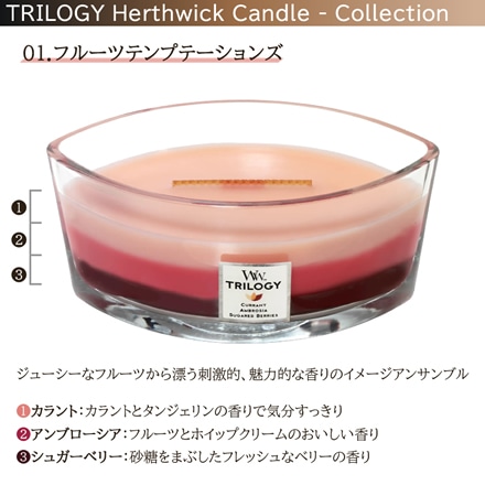 カメヤマキャンドル WoodWick WW トリロジーハースウィックL フルーツテンプテーションズ WW940054001