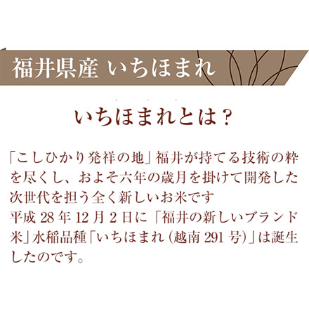 新米 白米 福井県産 いちほまれ 900g 特A評価 令和6年産