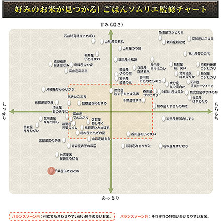 新米 白米 千葉県産 ふさおとめ 900g 令和7年産