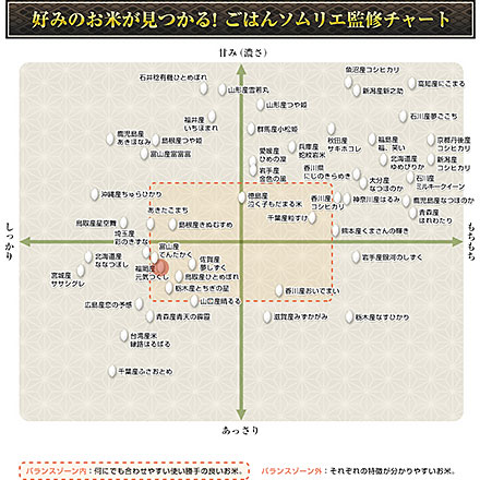 白米 福岡県産 元気つくし 900g 令和7年産
