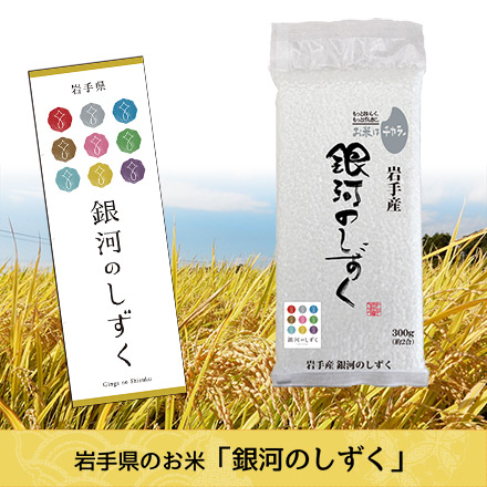 白米 岩手県産 銀河のしずく 900g 特A評価 令和5年産