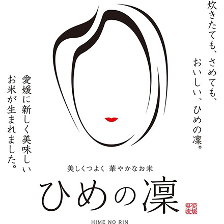 白米 愛媛県産 ひめの凛 900g 令和5年産