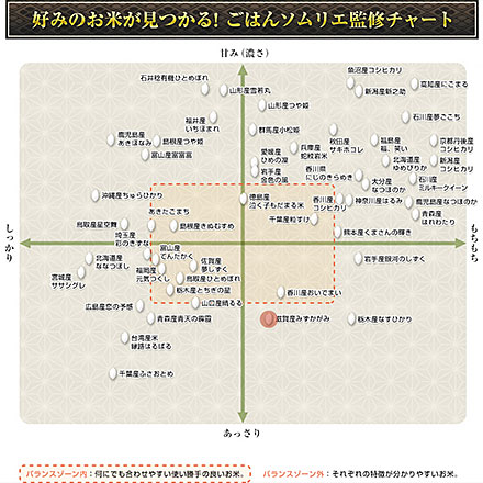 新米 白米 滋賀県産 みずかがみ 900g 特A評価 令和7年産