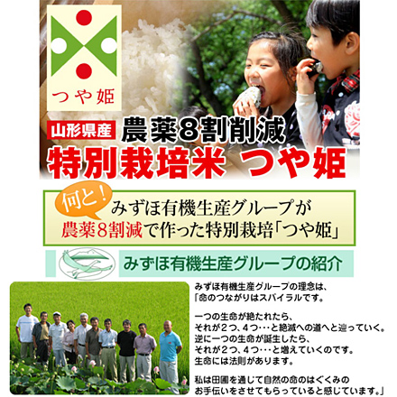 新米 白米 山形県産 つや姫 900g 特別栽培米 令和6年産