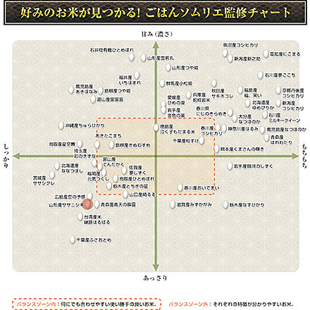 白米 山形県庄内産 ササニシキ 900g 特別栽培米 令和7年産