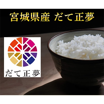 白米 宮城県産 だて正夢 10kg 2kg×5袋 令和5年産