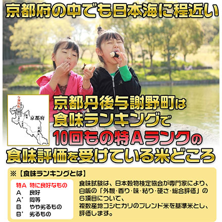 玄米 京都丹後与謝野町産 コシヒカリ 6kg 2kg×3袋 特別栽培米 令和6年産