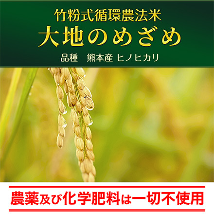 玄米 竹粉式循環農法米 大地のめざめ （熊本県産 ヒノヒカリ） 24kg 2kg×12袋 農薬・化学肥料不使用 令和5年産