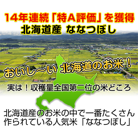 玄米 北海道産 ななつぼし 24kg 2kg×12袋 特A評価 令和6年産