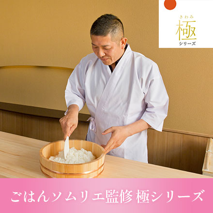 白米 石川産 夢ごこち+青森産 はれわたり+秋田産 サキホコレ 2kg×3種 6kg 令和7年産 極しゃもじ 極冷凍ごはん容器 新生活応援セット 第二弾