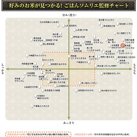 白米 新潟県産 コシヒカリ 24kg 2kg×12袋 令和7年産