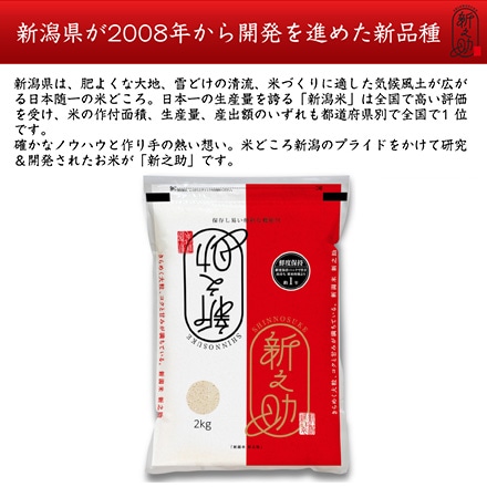 新米 白米 新潟県産 新之助 24kg 2kg×12袋 令和6年産