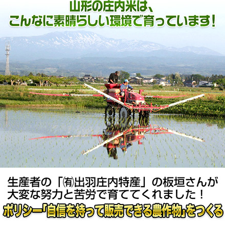 玄米 山形県庄内産 ササニシキ 2kg 特別栽培米 令和7年産