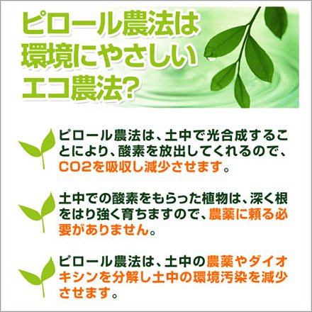 白米 徳島県産 ピロール農法米 〈コシヒカリ〉 24kg 2kg×12袋 令和7年産 〈未検査米〉