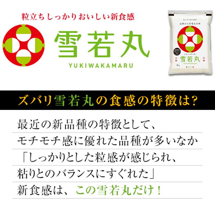 新米 白米 山形県産 雪若丸 6kg 2kg×3袋 特A評価 令和6年産