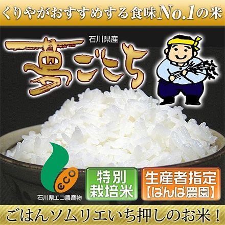 白米 石川県産 夢ごこち 10kg 2kg×5袋 特別栽培米 令和5年産