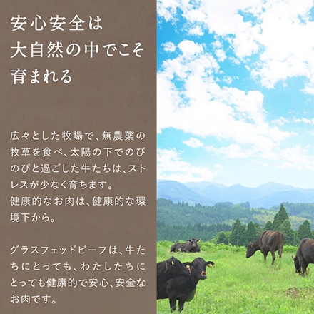 Dr.Beef 純日本産 グラスフェッドビーフ 黒毛和牛 リブロースステーキ 300g (150g×2枚)