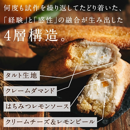 タマチャンショップ 九州チーズタルト 5本×2箱