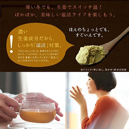 タマチャンショップ 生姜 粉末 みらいのしょうが 70ｇ