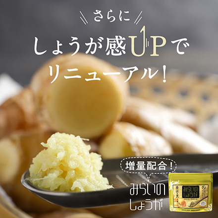 タマチャンショップ そらまめっち スパイスジンジャー味 80g