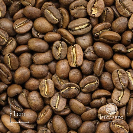 コーヒー豆 コーヒーハンターズ 2種セット 〔焙煎豆2種(サン ミゲル アンティグア・ドイ トゥン)各160g〕